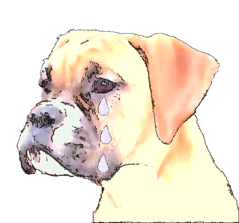 The Rescue Logo - a tearful Boxer